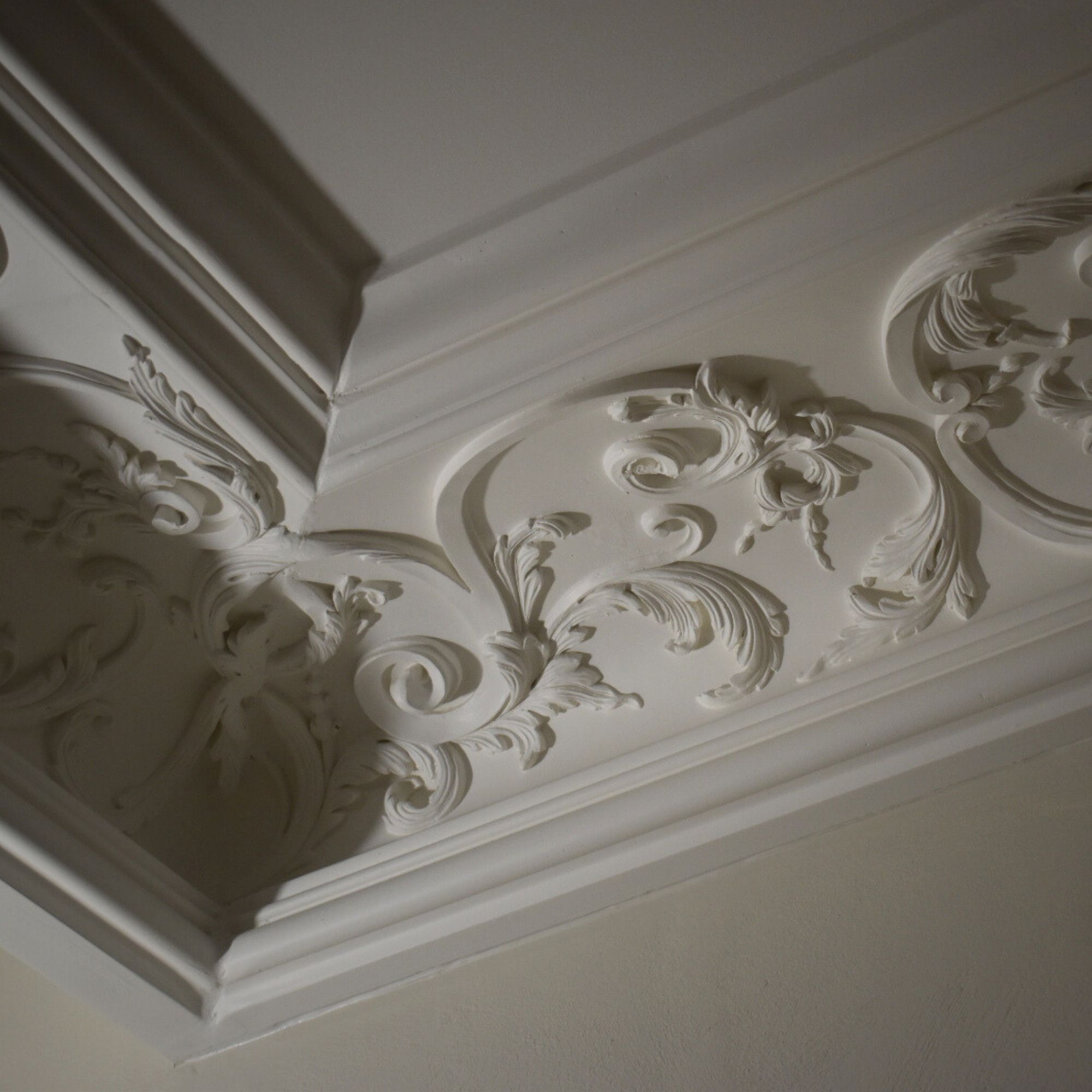 détail suite camille 4